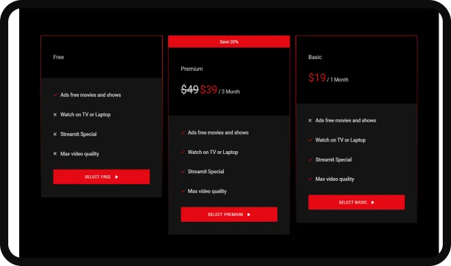 pricing pricing